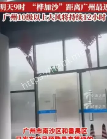 广州10级大风持续12小时