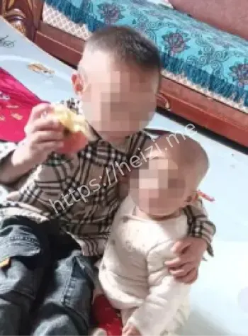 牟定县兄妹野蜂攻击