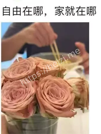 启东二喜出轨事件