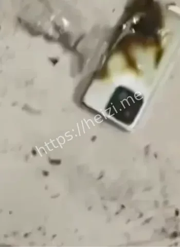 3岁孩童用小米手机看视频被炸伤