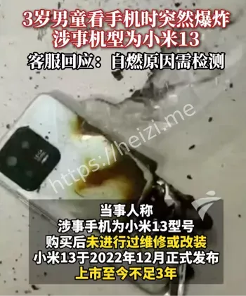 3岁孩童用小米手机看视频被炸伤