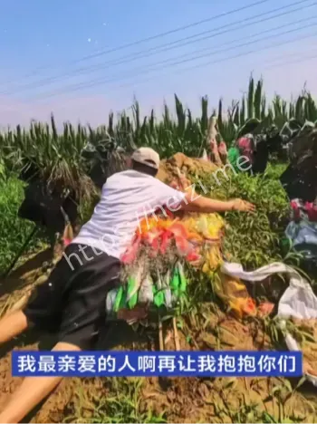 凶手邻居宅基地纠纷