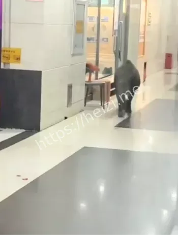 公安特警野猪处理过程