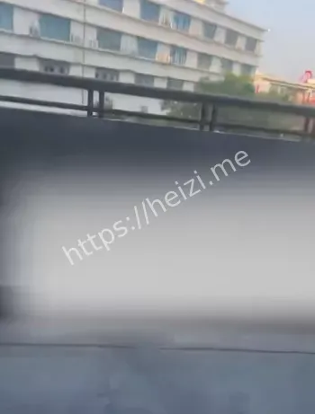 上海公交司机抑郁自杀