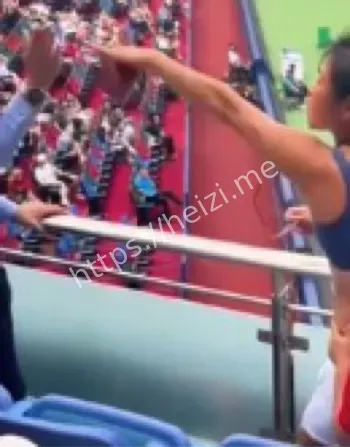 46岁女子尖叫挑衅安保视频