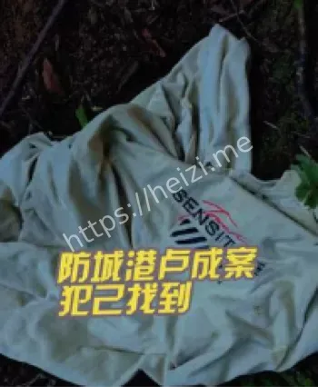 广西防城港阳光海岸杀人案细节