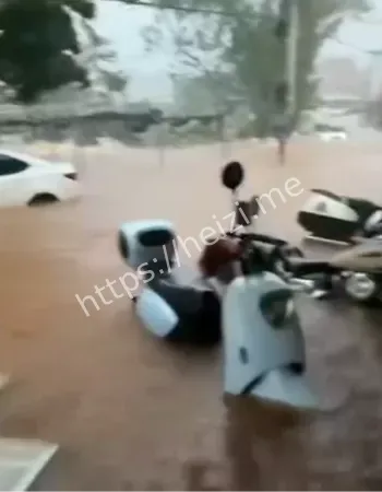 台风麦德姆登陆湛江狂风暴雨