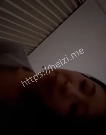 木子李包养视频