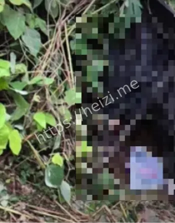 行李箱弃尸山区