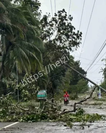 宿雾省洪水重灾区
