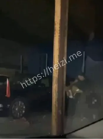 豹子号刀枪炮大佬