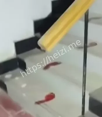 民间鬼故事热议解读