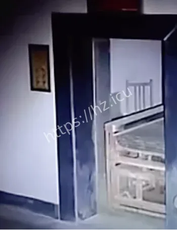 小龙探险萌脸现身