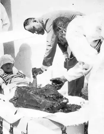 太平间变部位菜市场