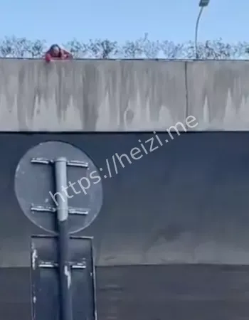 坠桥事件细节曝光