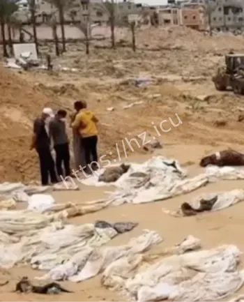 杰西最佳酒店器官案