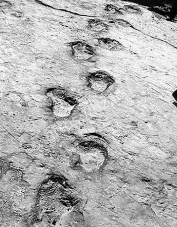 外星文明的信号