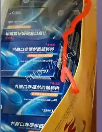 极氪车友会福利