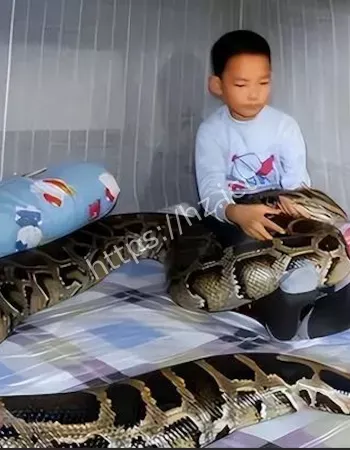 农家乐灵异事件