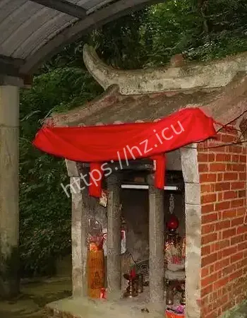 但千万别求感情