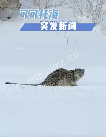 现场画面曝光