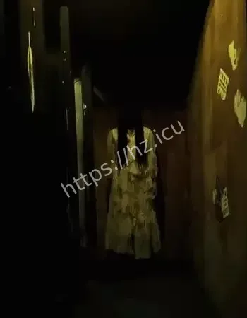 真相曝光