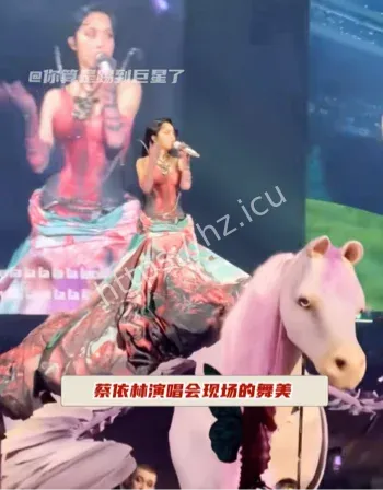 蔡依林演唱会争议