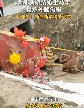 河南周口