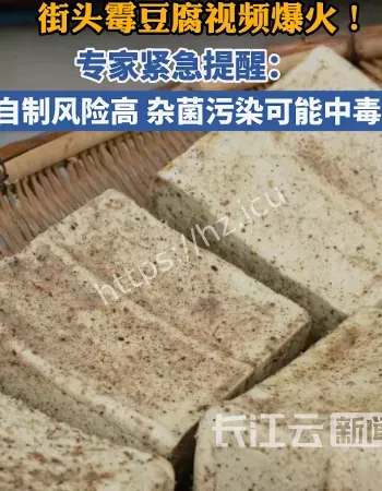 自制霉豆腐