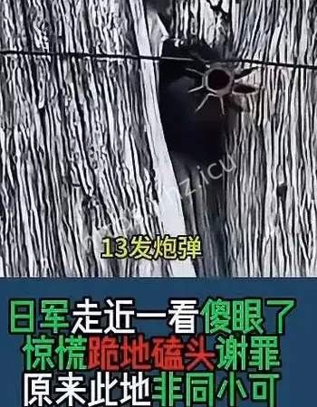 日军13发炮弹集体哑火