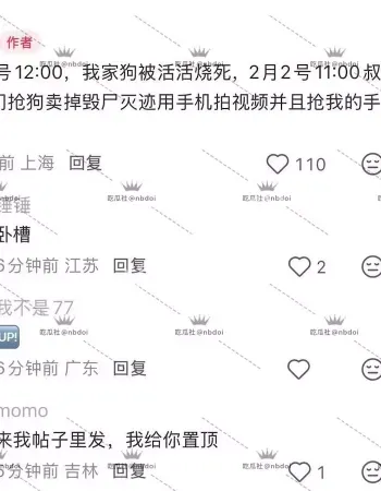 将狗棚点燃
