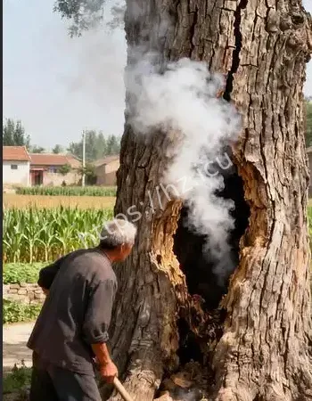 所有报应都来了