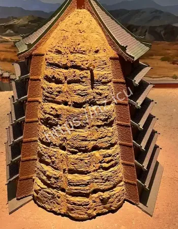 游客实拍
