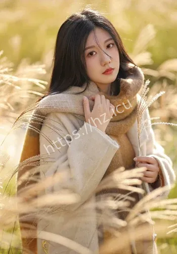 但在争议焦点