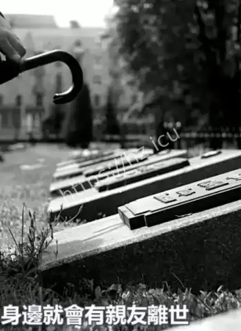 史上最疯电视节目