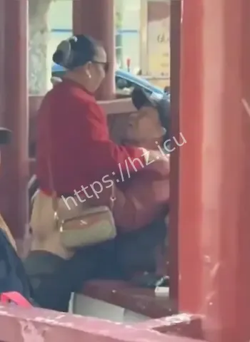 大爷大妈公园互动