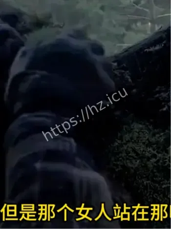 深夜模糊黑影