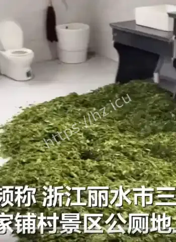 厕所变茶叶晾晒场