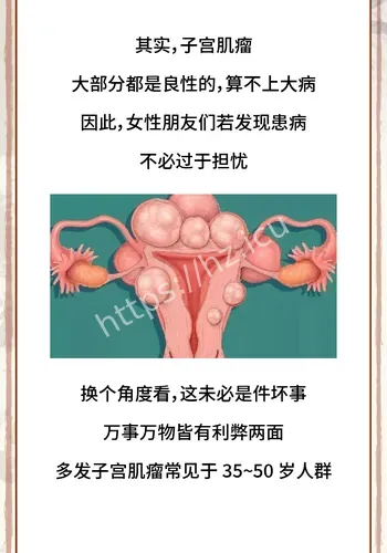 22厘米肌瘤背景补充