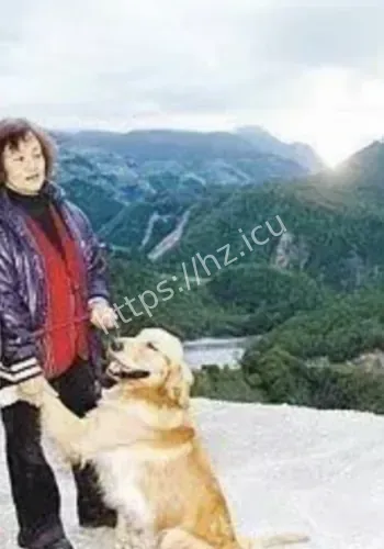 热点信息整理