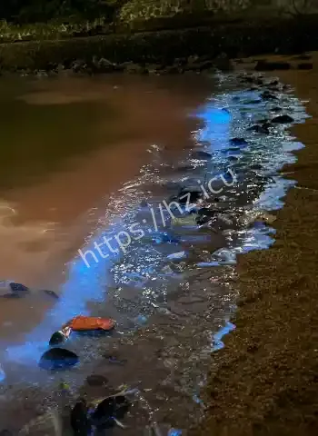 夜晚海水被点亮