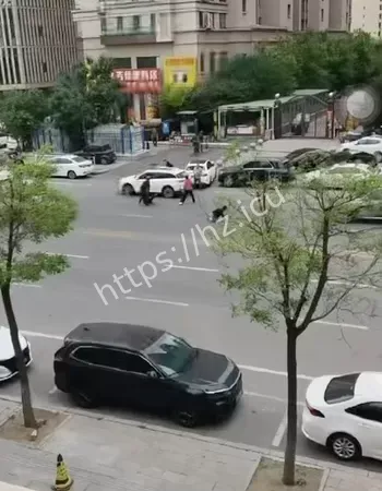 老大妈险遭毒手