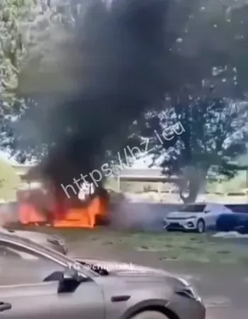 不满杨絮影响健身