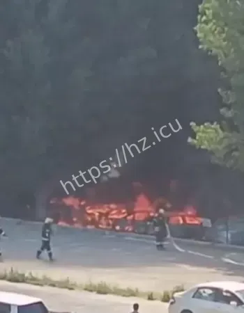 不满杨絮影响健身