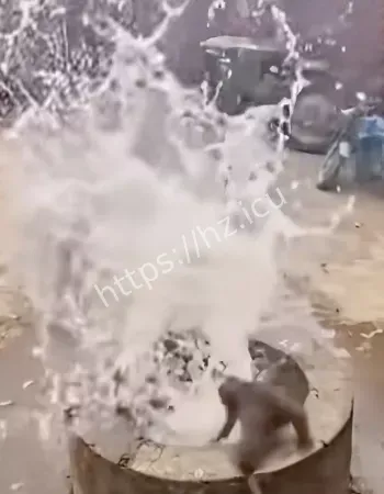传出怪声