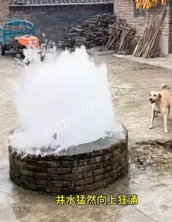 让人头皮发麻