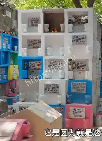 世界上最大活死人墓曝光