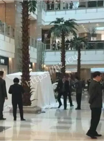 徐家汇港汇风水