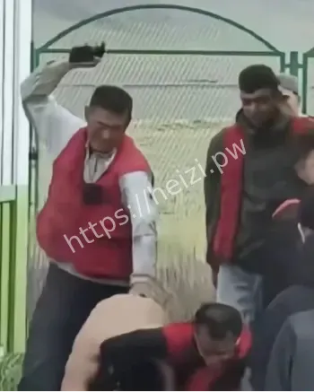赛里木湖被打司机