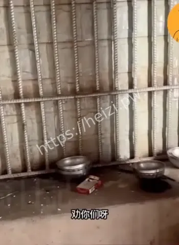 缅北电诈园内大铁笼水牢真实画面揭秘